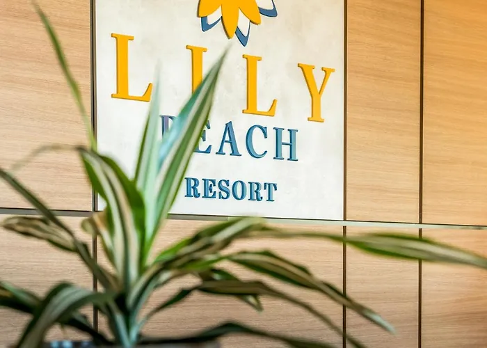 Lily סוזופול